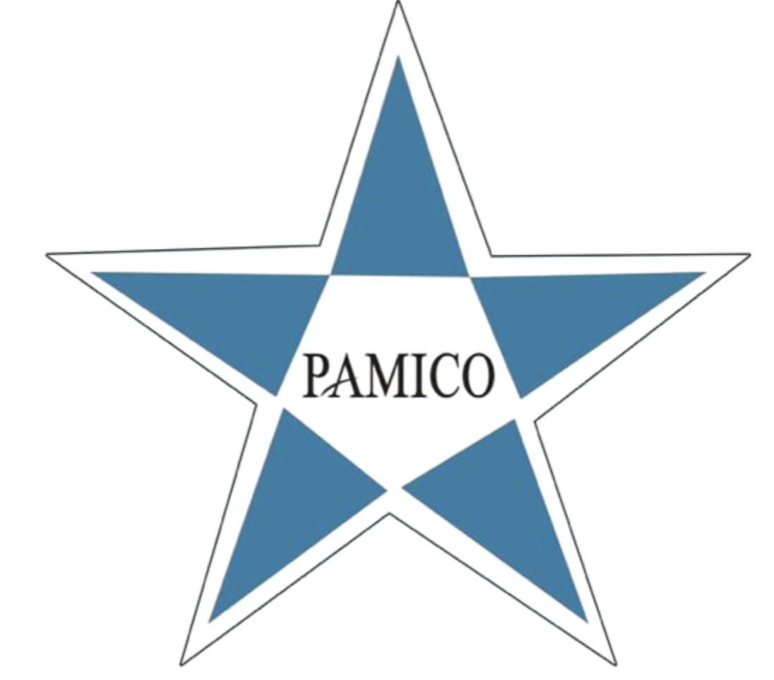 PAMICO TECHNOLOGIES 